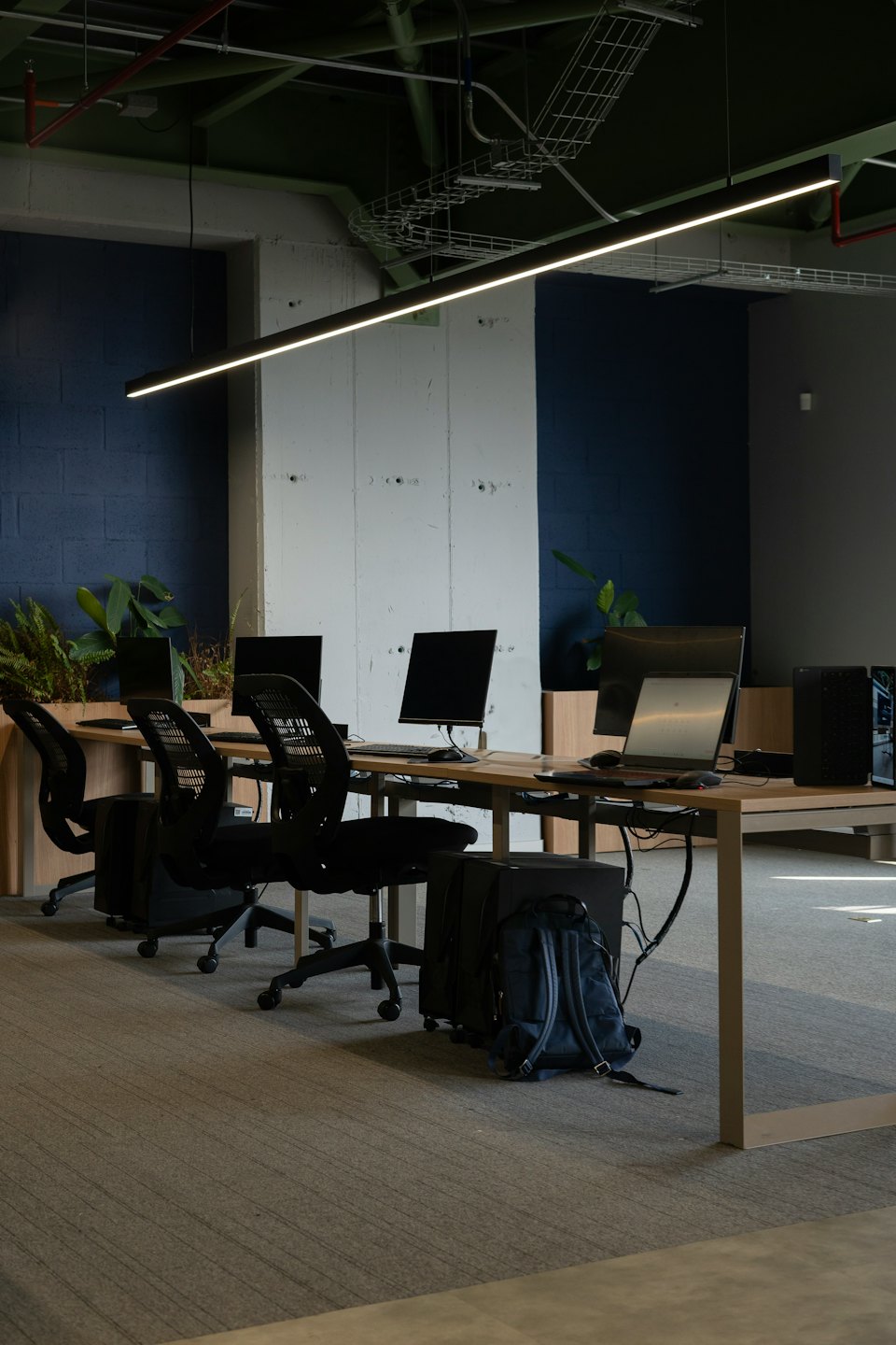 Modernes Büro mit Arbeitsplätzen, Computern und Pflanzen auf grauem Teppich.